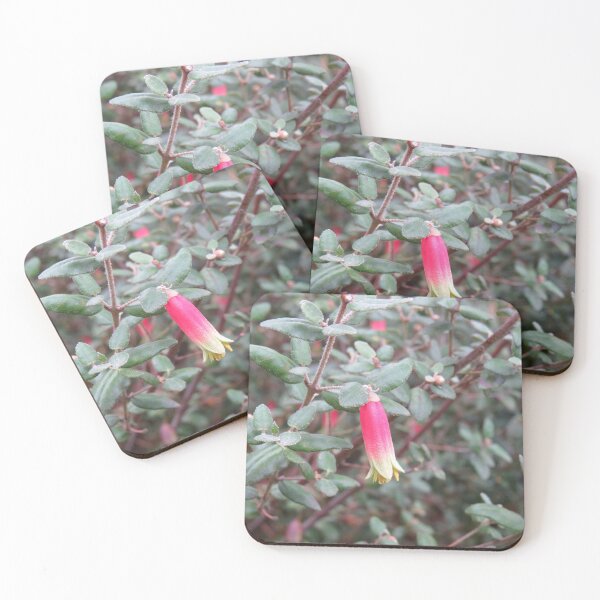 Item preview, Correa reflexa flower designed and sold by greentiger1.