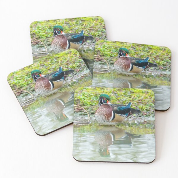 Item preview, Duck and reflection designed and sold by Dalyndigital Photography.
