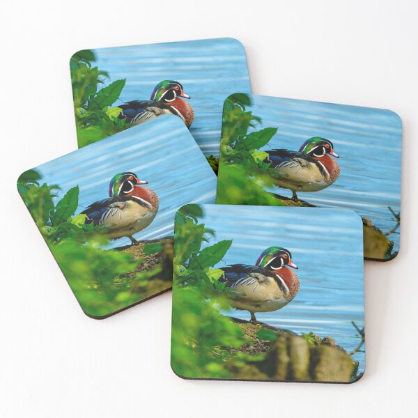Item preview, Duck Pondering! designed and sold by Dalyndigital Photography.