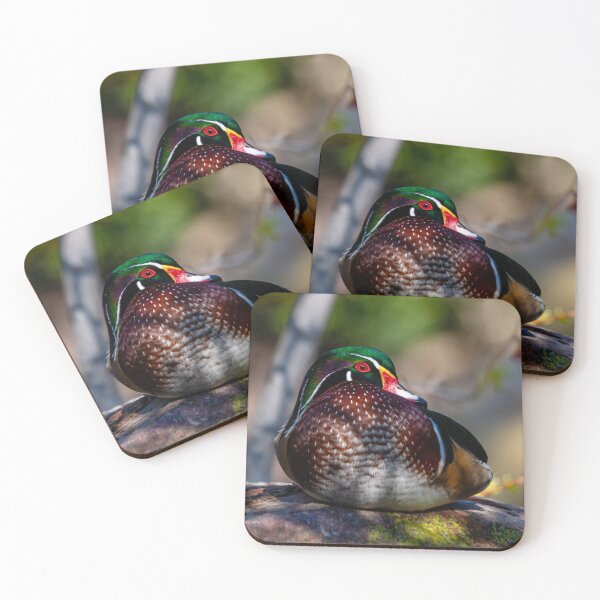 Item preview, Sat in the Sun Duck designed and sold by Dalyndigital Photography.
