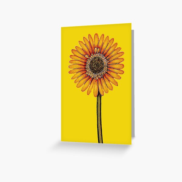 Yellow Gerbera Greeting Card