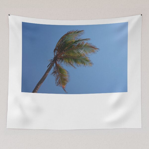 Item preview, SSK 0666 WIND BLOWN. Color designed and sold by Sunil Kapadia.
