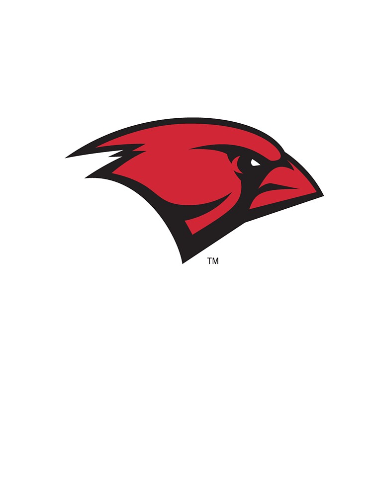 University of the Incarnate Word Cardinals Football Fan Jersey: University  Of The Incarnate Word