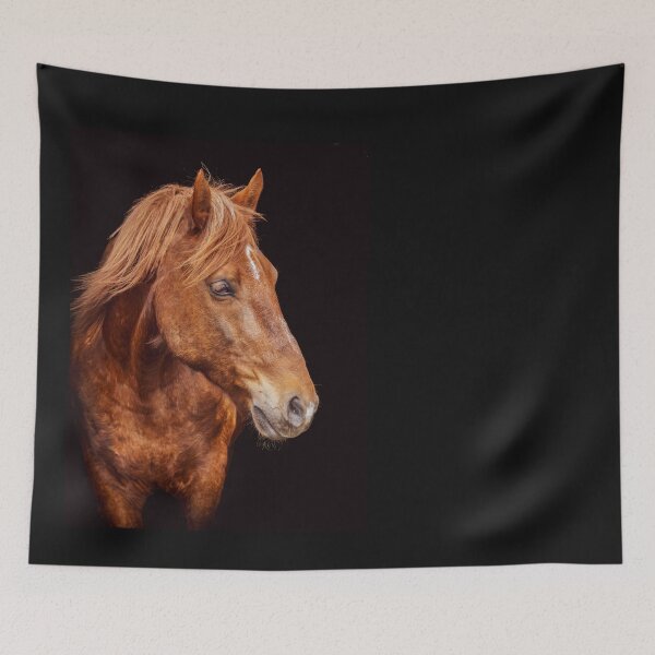 Item preview, Cute and friendly horse looking attentively. designed and sold by AylaHarbich.