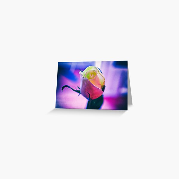 The White Rose: A Symbol of Purity and Serenity Greeting Card