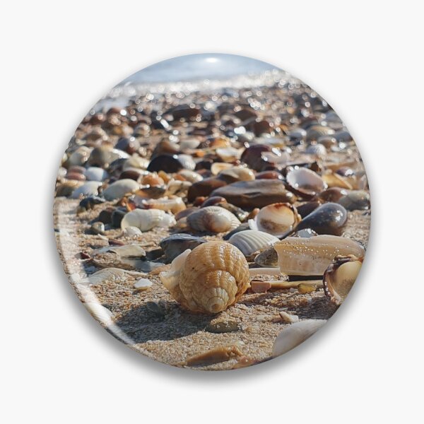 Item preview, Natural Placement of Shells Photography  designed and sold by s10-Photography.