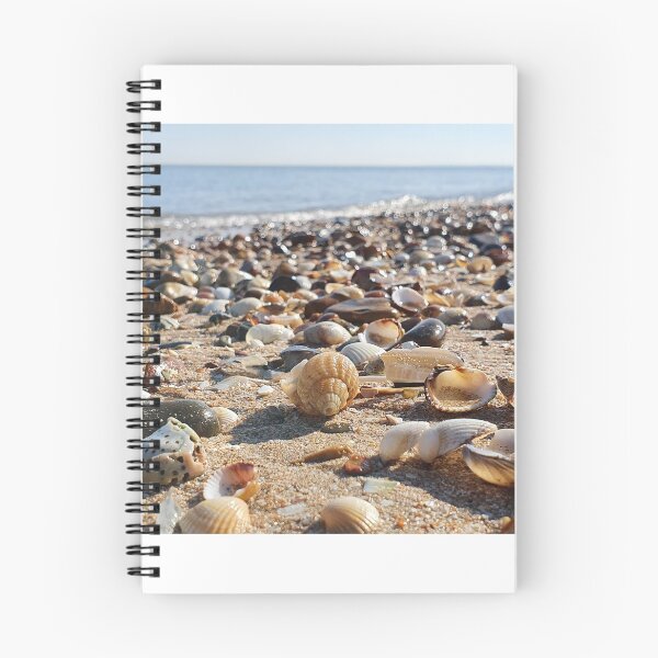 Item preview, Natural Placement of Shells Photography  designed and sold by s10-Photography.