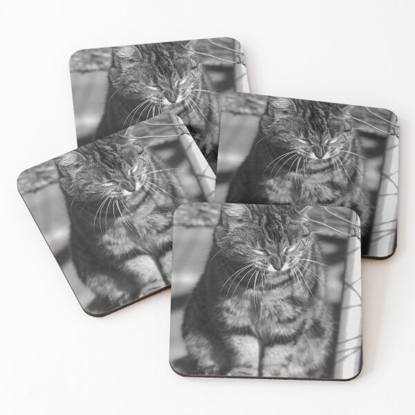 Item preview, black and white cat designed and sold by devil0035.