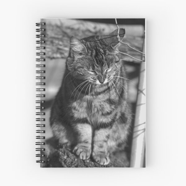 Item preview, black and white cat designed and sold by devil0035.