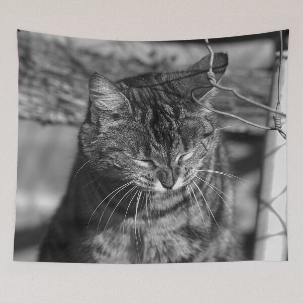 Item preview, black and white cat designed and sold by devil0035.