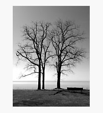 Solitude #2 Photographic Print