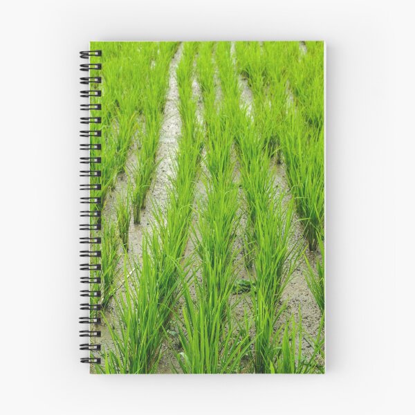 Item preview, Rice Shoots 1 designed and sold by Werner Padarin.