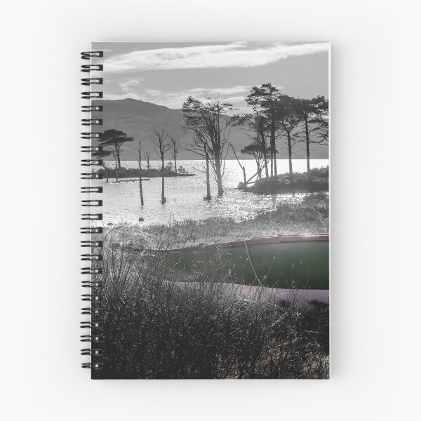Item preview, All Ashore designed and sold by EdTheFrogPhotos.