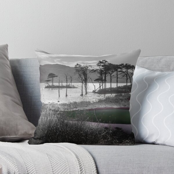 Item preview, All Ashore designed and sold by EdTheFrogPhotos.