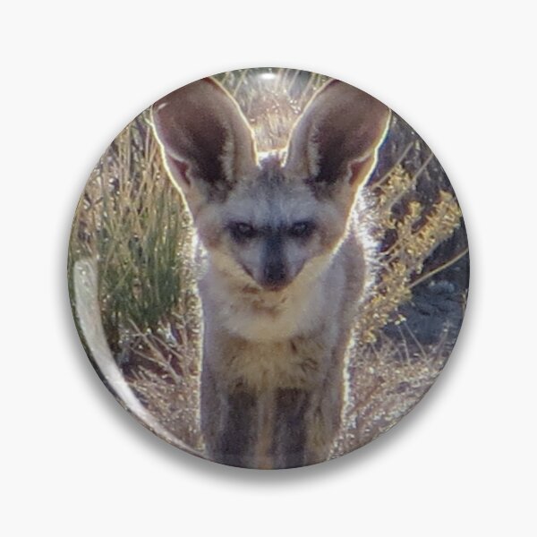 Item preview, Big Ear Fox | Funny Animal & Travel Photography designed and sold by SimZoom.
