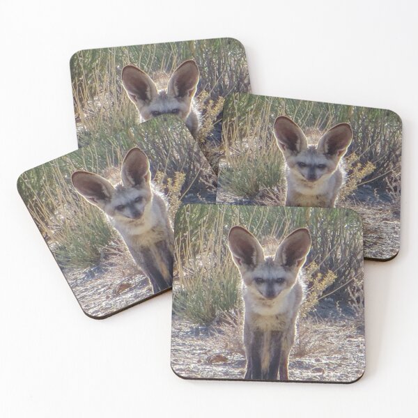 Item preview, Big Ear Fox | Funny Animal & Travel Photography designed and sold by SimZoom.