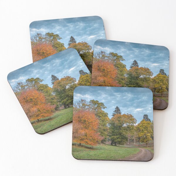 Item preview, A walk in the Forest designed and sold by Viv Thompson Photography .