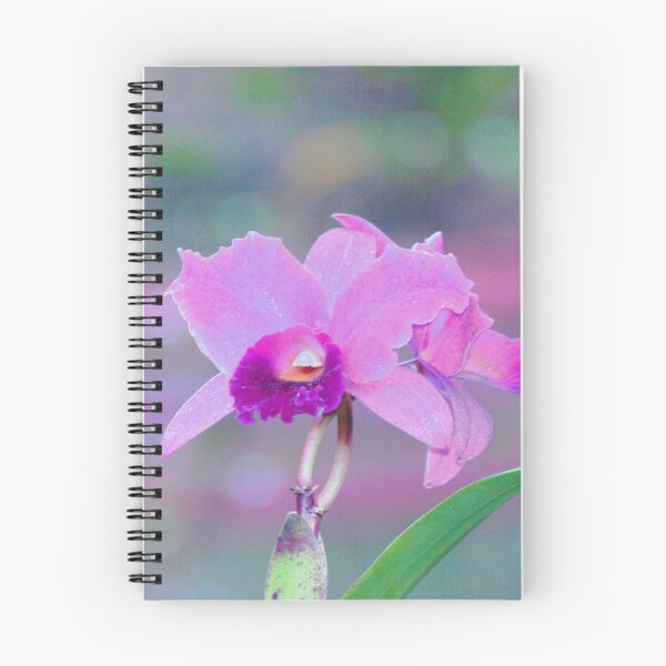 Item preview, Pink Orchid Print. designed and sold by ginnymac.