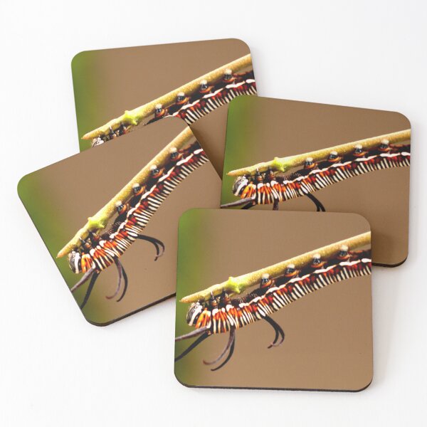 Item preview, Stripy Caterpillar designed and sold by Geoff Treagus.