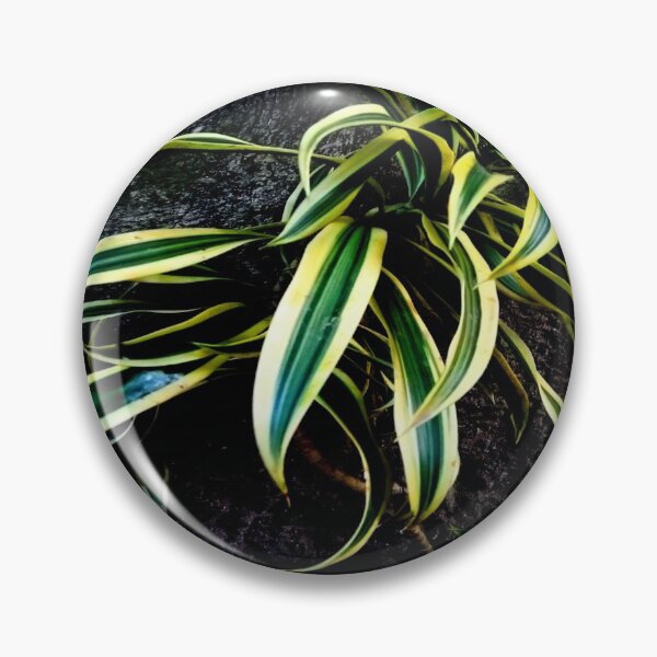 Item preview, Swordplant/Snakeplant in nighttime. designed and sold by calmingchaos.