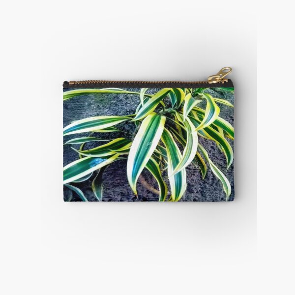 Item preview, Swordplant/Snakeplant in the cold morning. designed and sold by calmingchaos.
