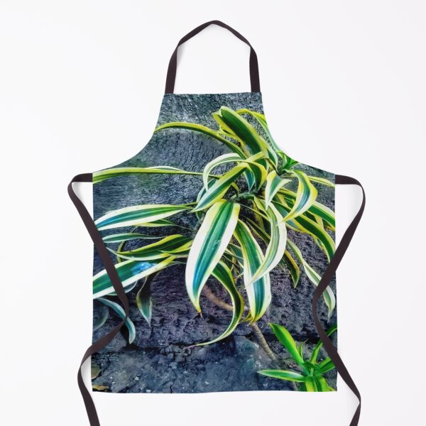 Item preview, Swordplant/Snakeplant in the cold morning. designed and sold by calmingchaos.