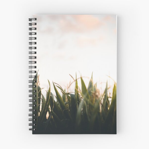 Item preview, Cornfield & Sunset designed and sold by gammington.
