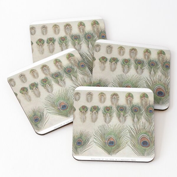 Item preview, Peacock Feather - Evolution of the Eyes designed and sold by redoARTstore.