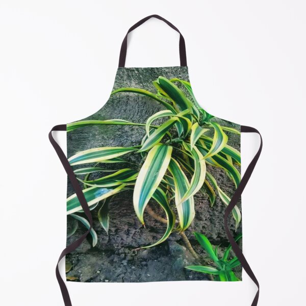 Item preview, Snakeplant/Swordplant on a regular morning. designed and sold by calmingchaos.