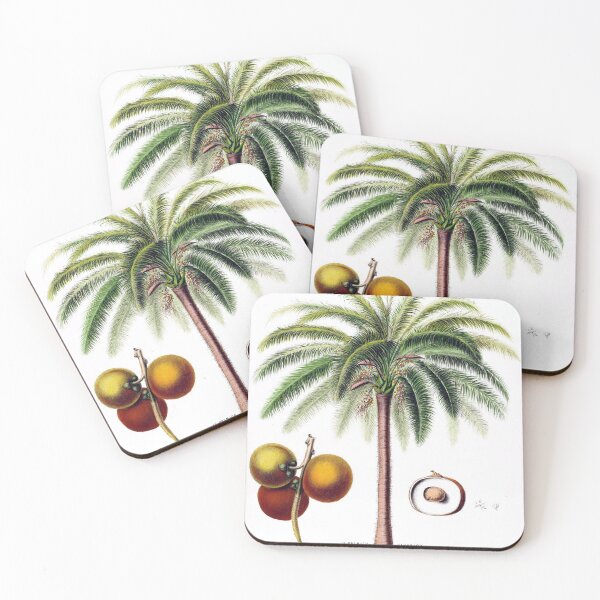 Item preview, Flora America - Palmier Glouglou designed and sold by redoARTstore.