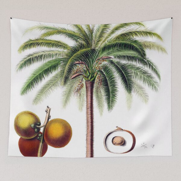 Item preview, Flora America - Palmier Glouglou designed and sold by redoARTstore.