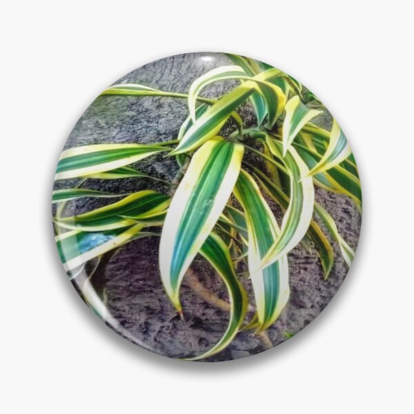 Item preview, Swordplant/Snakeplant in noontime  designed and sold by calmingchaos.