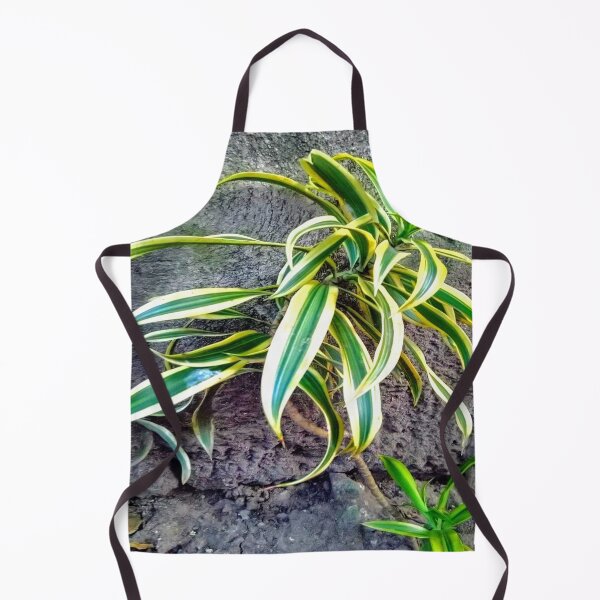 Item preview, Swordplant/Snakeplant in noontime  designed and sold by calmingchaos.