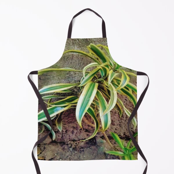 Item preview, Swordplant/Snakeplant in  summer sunset  designed and sold by calmingchaos.