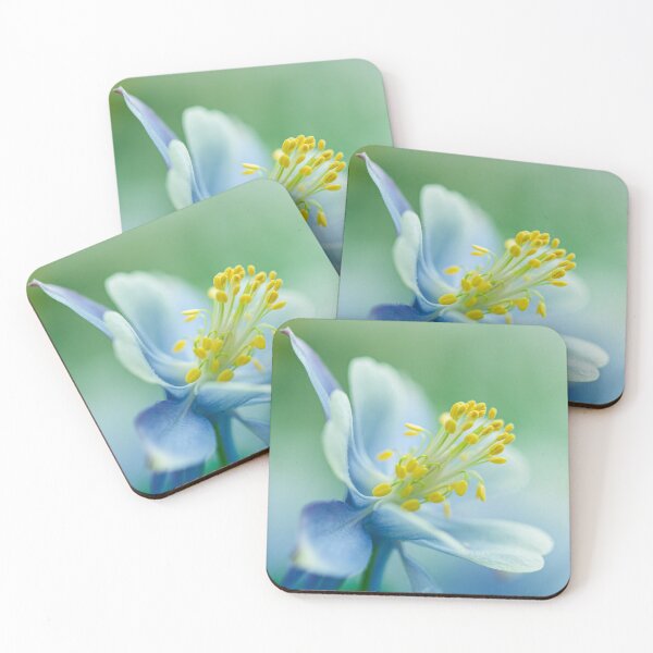 Item preview, The flower designed and sold by Roberd Palm.