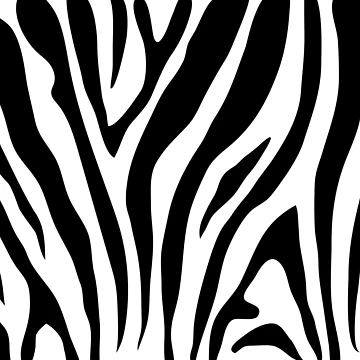 Artwork thumbnail, Zebra Pattern by Timegraf