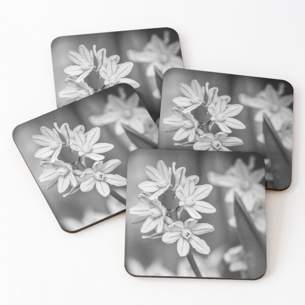 Item preview, White flowers designed and sold by Roberd Palm.