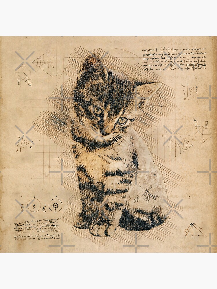 "Cute Kitten Retro Cat Drawing" Art Print for Sale by Ninnudez Redbubble