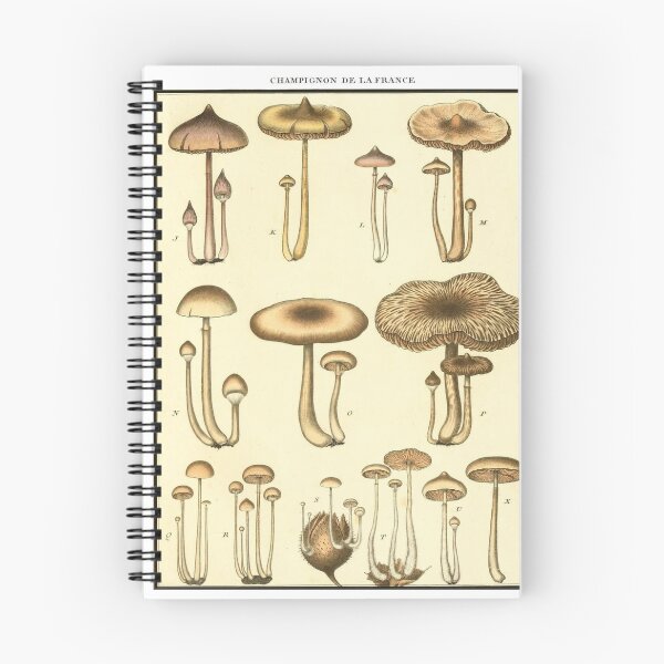 Item preview, Champignon de la France - Mushrooms designed and sold by redoARTstore.