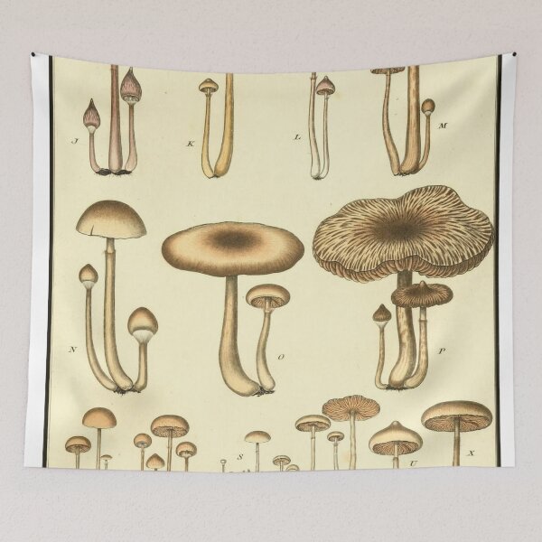 Item preview, Champignon de la France - Mushrooms designed and sold by redoARTstore.