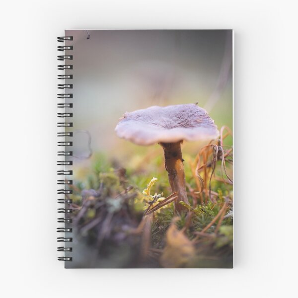 Item preview, Mushroom in a daylight designed and sold by Advforester.
