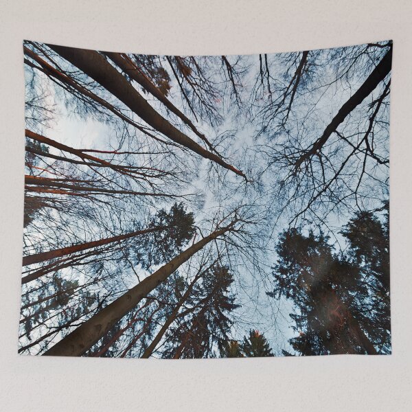 Item preview, Look up in the forest designed and sold by frankuffmann.