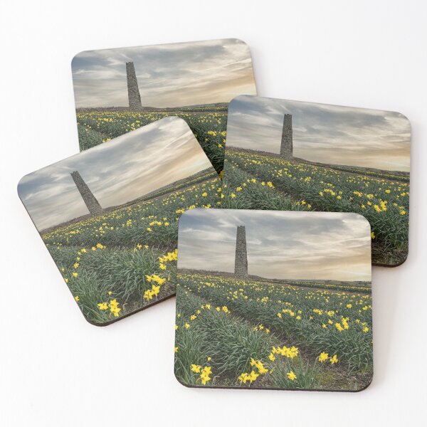 Item preview, Daffodils fields Cornwall at sunset daffodil designed and sold by kathleenjean.