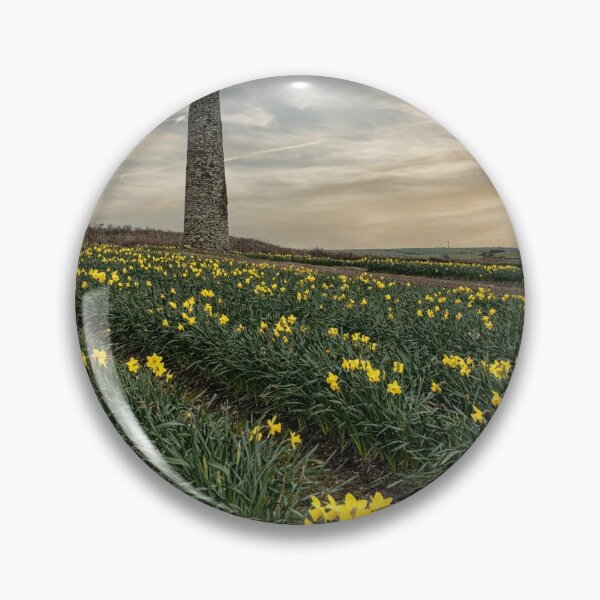Item preview, Daffodils fields Cornwall at sunset daffodil designed and sold by kathleenjean.