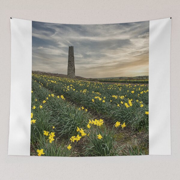 Item preview, Daffodils fields Cornwall at sunset daffodil designed and sold by kathleenjean.