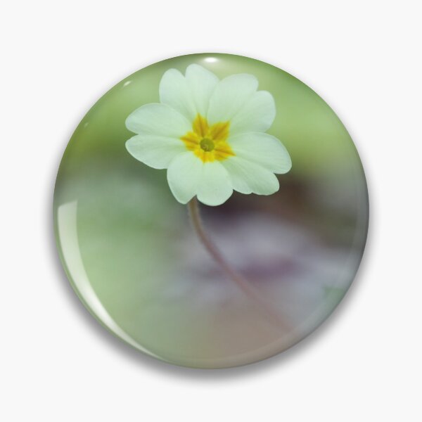 Item preview,  Digital photograph. Single primrose flower  designed and sold by SimonJohnson1.