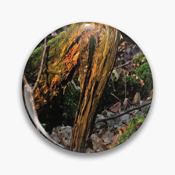 Item preview, Magical roots designed and sold by frankuffmann.