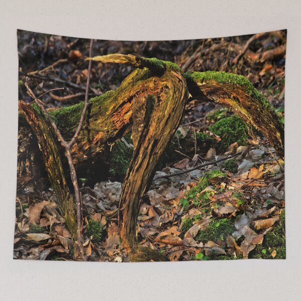 Item preview, Magical roots designed and sold by frankuffmann.