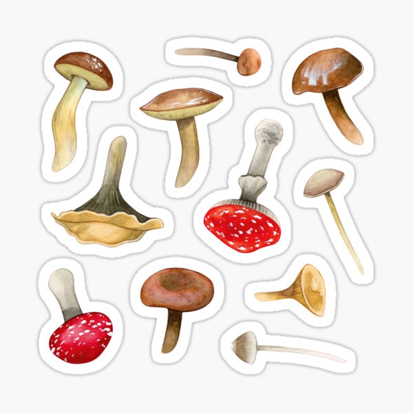 Item preview, Mushroom Pack designed and sold by MSandzewicz.