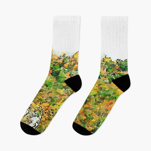 Item preview, Barbarano Romano: landscape with autumnal forest designed and sold by Giuseppe Cocco.